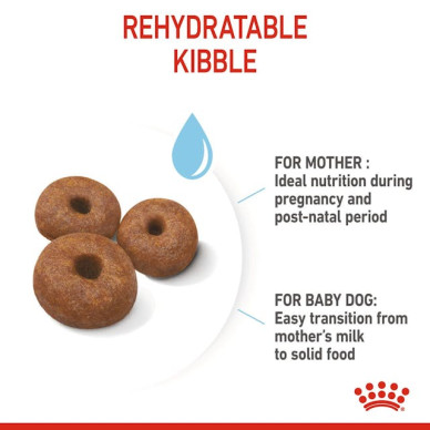 Royal Canin Giant Starter Mother & Babydog – Hrană Uscată pentru Cățele Gestante/în Lactație și Pui de Câine de Talie Gigantă – 15 kg